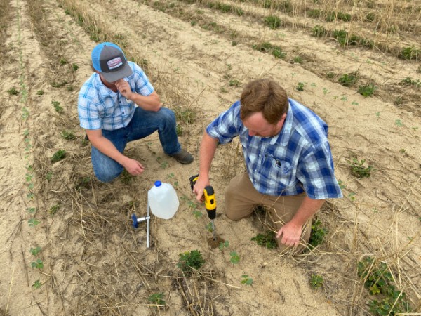 Soil Moisture Sensor Installation in Coffee County Cotton Field  